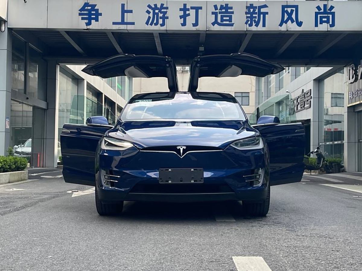 特斯拉 Model X  2020款 長續(xù)航升級(jí)版圖片