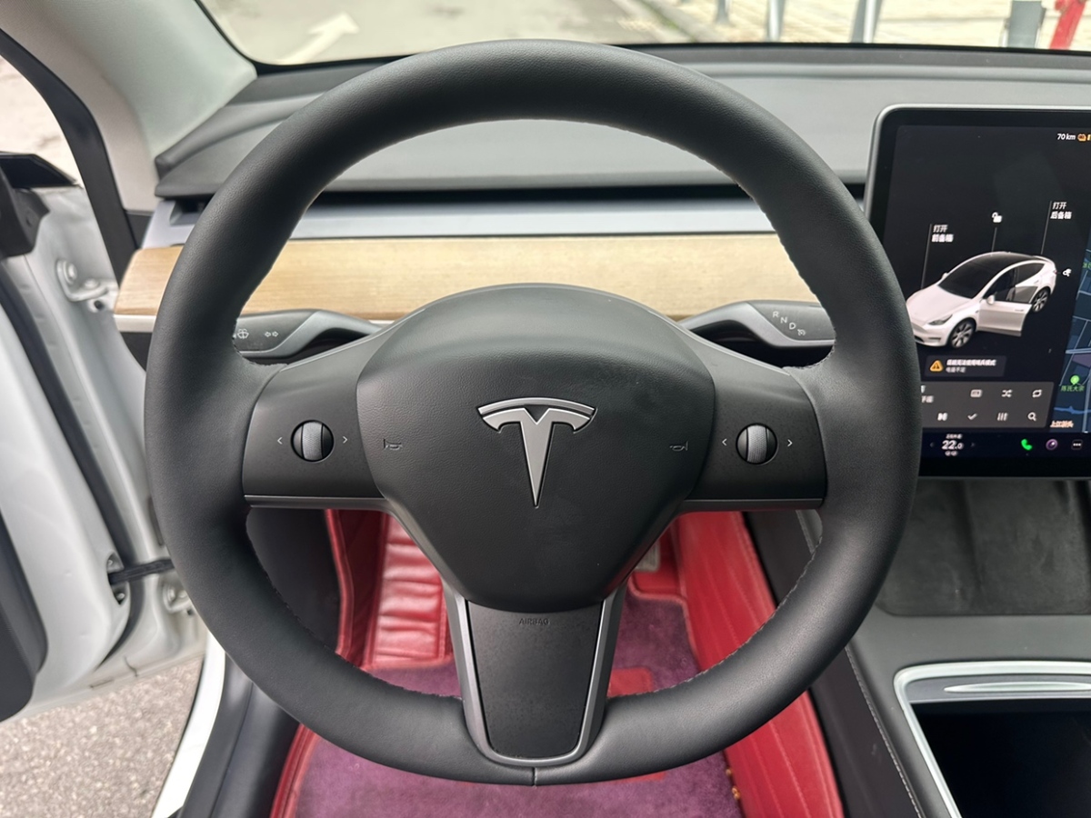 特斯拉 Model Y  2021款 標(biāo)準(zhǔn)續(xù)航后驅(qū)版圖片