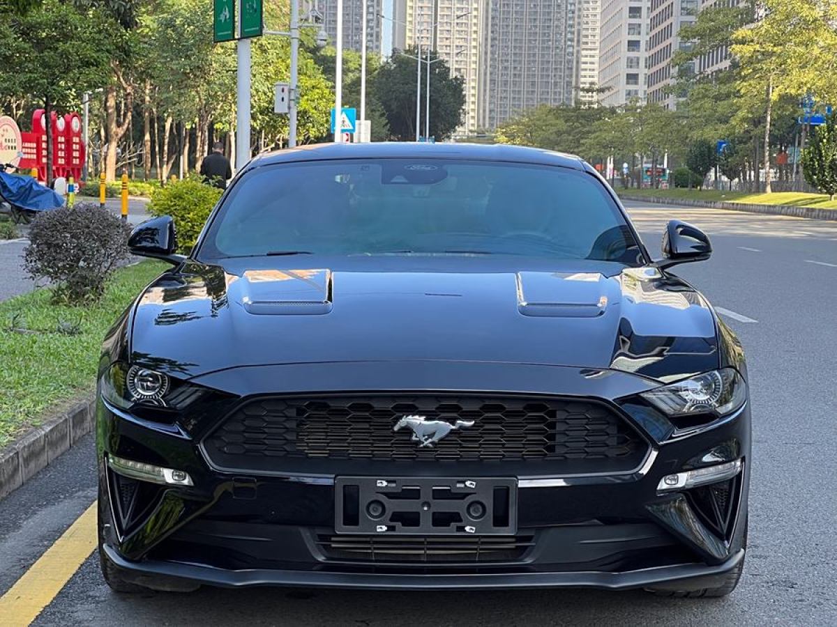 福特 Mustang  2021款 2.3L EcoBoost圖片