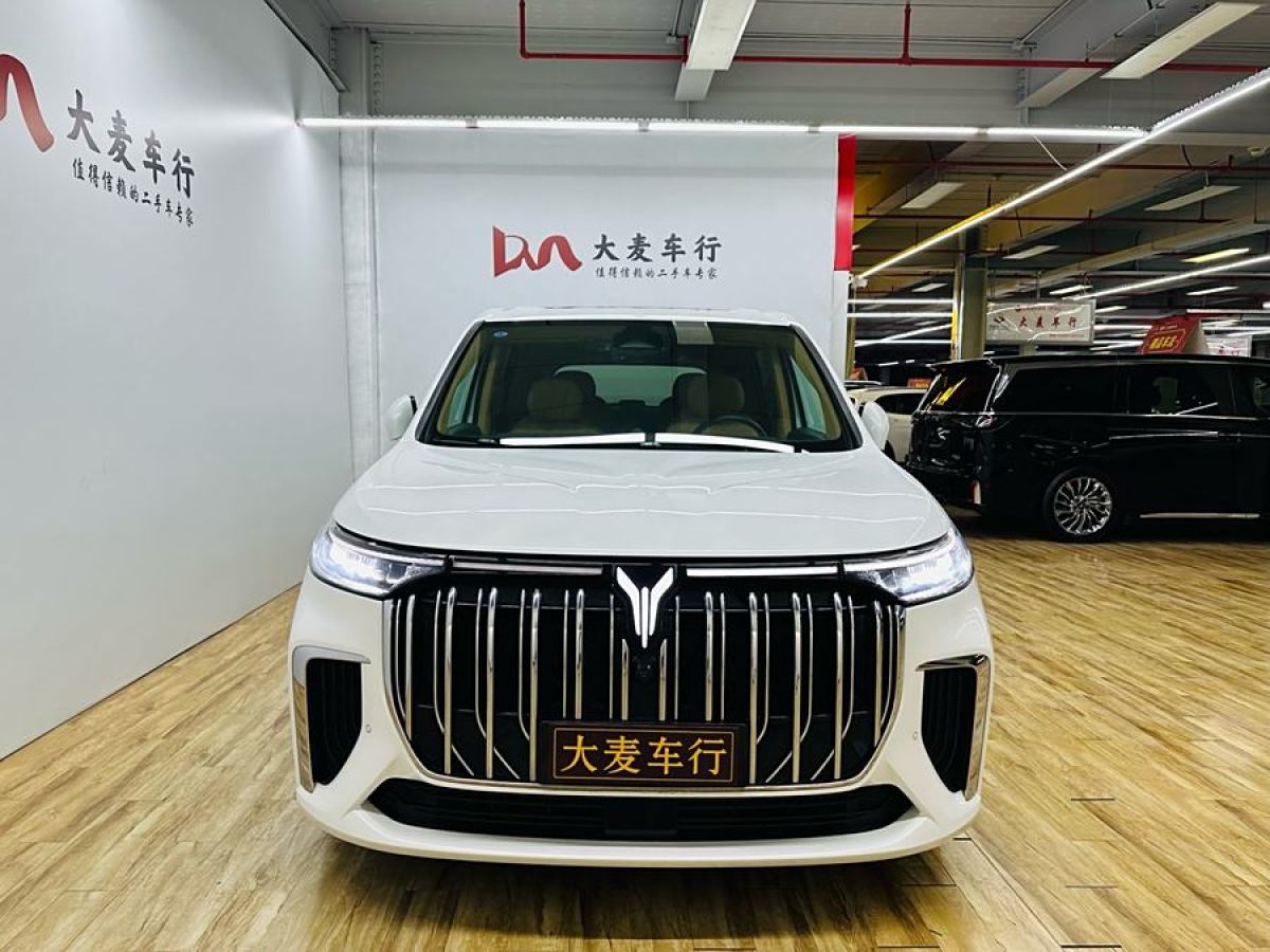 嵐圖 夢想家  2024款 PHEV 超長續(xù)航尊貴版圖片