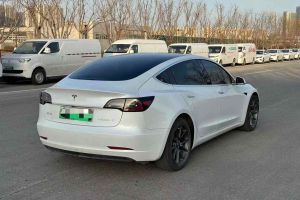 Model X 特斯拉 Performance 高性能版