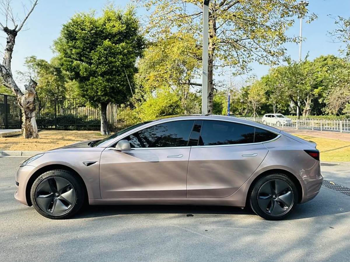 特斯拉 Model 3  2019款 標(biāo)準(zhǔn)續(xù)航后驅(qū)升級(jí)版圖片