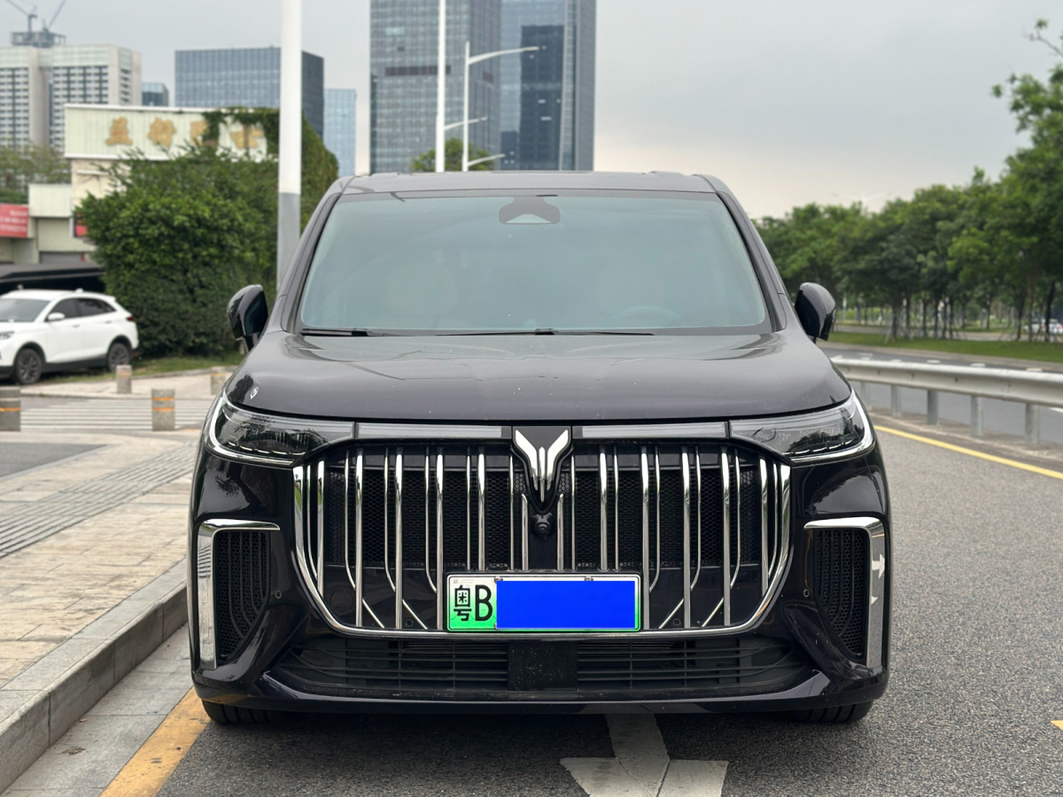 嵐圖 夢(mèng)想家  2024款 PHEV 超長(zhǎng)續(xù)航旗艦版圖片