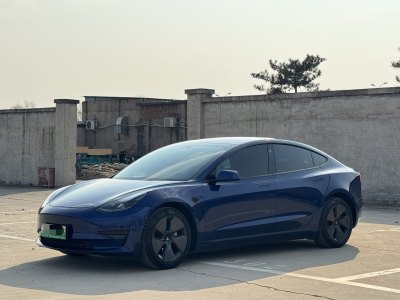 2021年4月 特斯拉 Model 3 標準續(xù)航后驅(qū)升級版圖片