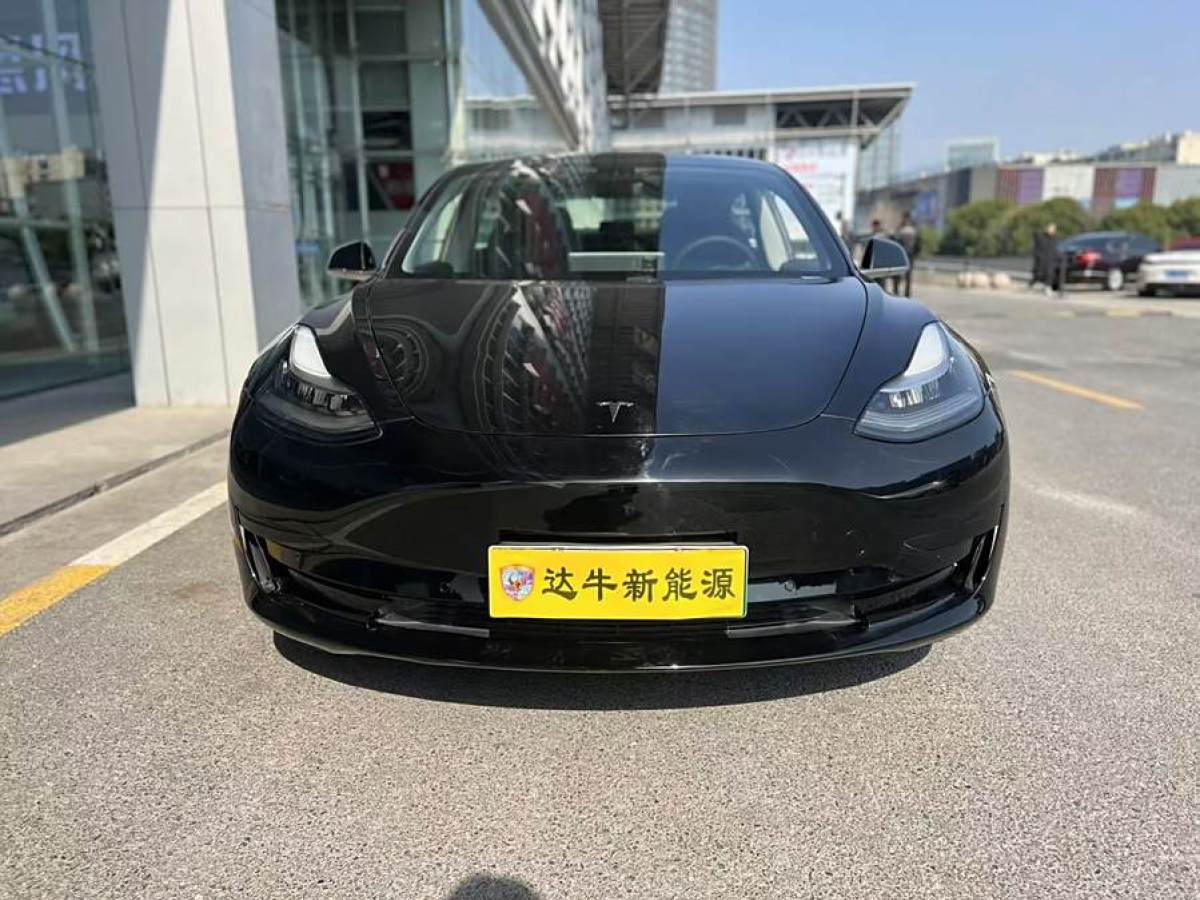 特斯拉 Model 3  2020款 改款 標(biāo)準(zhǔn)續(xù)航后驅(qū)升級(jí)版圖片