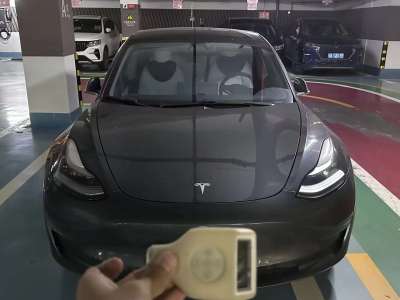 2020年6月 特斯拉 Model 3 改款 長續(xù)航后輪驅(qū)動(dòng)版圖片