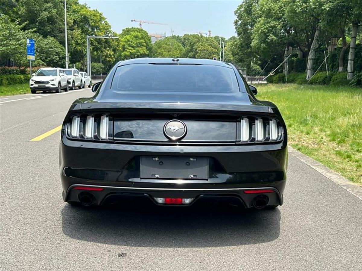 福特 Mustang  2015款 2.3T 性能版圖片