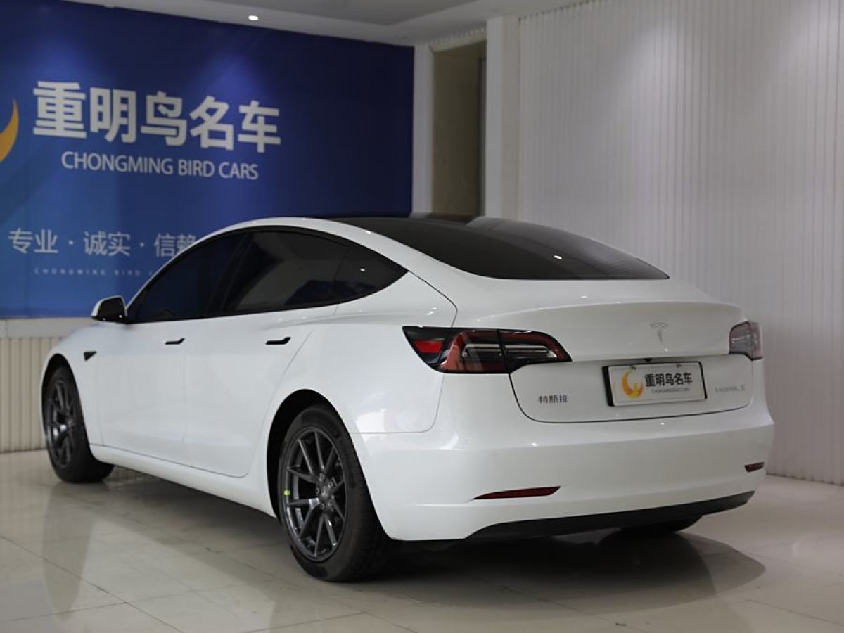 特斯拉 Model 3  2021款 改款 標準續(xù)航后驅(qū)升級版圖片