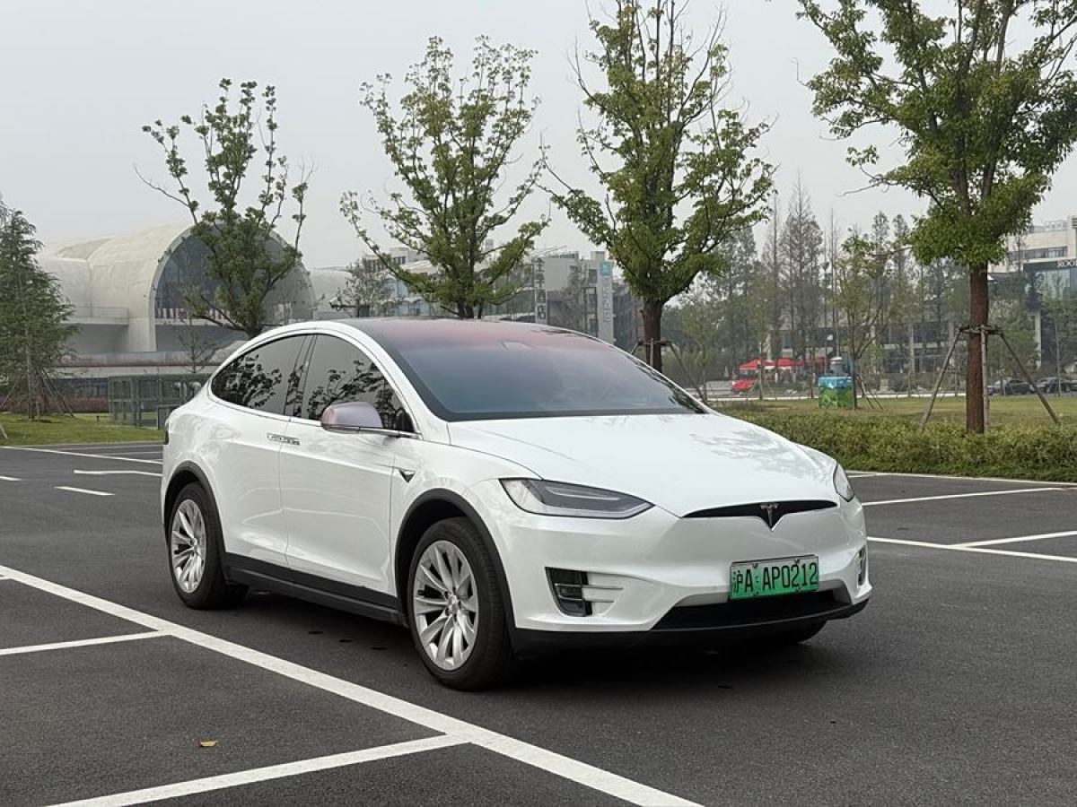 特斯拉 Model X  2020款 長續(xù)航升級版圖片