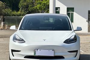 Model 3 特斯拉 标准续航后驱升级版