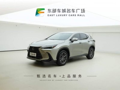 2022年1月 雷克薩斯 NX 260 前驅(qū) 創(chuàng)馳版圖片