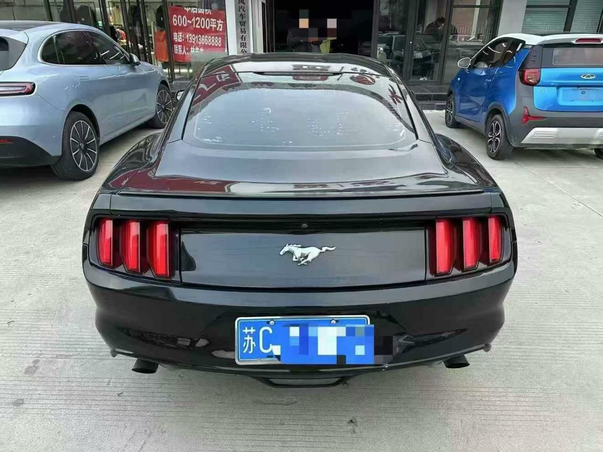 福特 Mustang  2017款 2.3T 性能版圖片