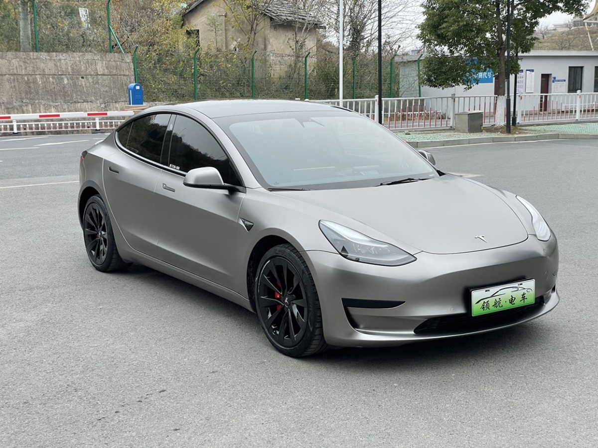 特斯拉 Model 3  2021款 標(biāo)準(zhǔn)續(xù)航后驅(qū)升級(jí)版 3D6圖片