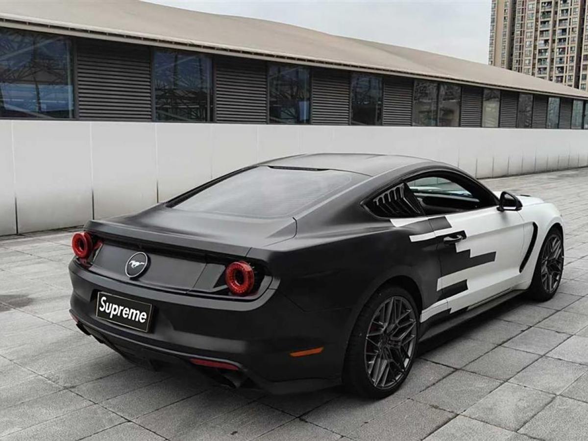 福特 Mustang  2015款 2.3T 性能版圖片