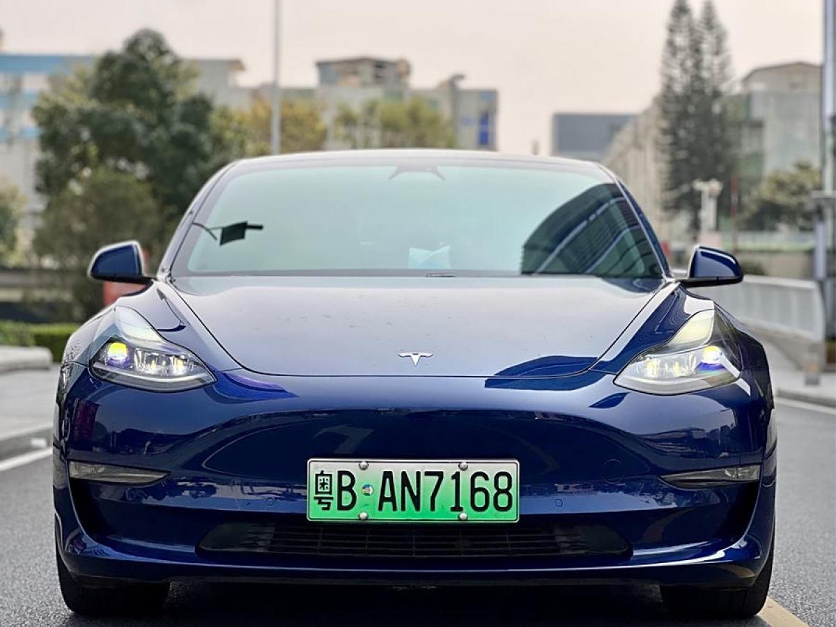 特斯拉 Model Y  2021款 Performance高性能全輪驅(qū)動(dòng)版圖片