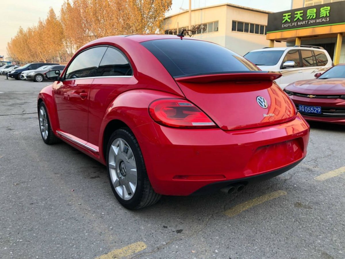 2015年11月大眾 甲殼蟲 2015款 280tsi