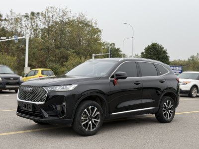 2023年1月 哈弗 H6 第三代 1.5T 自動兩驅(qū)Pro圖片