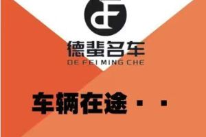 EC5 北汽新能源 新尚版