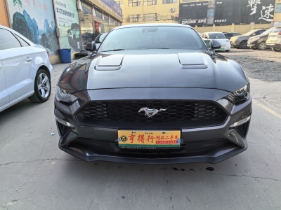2020年6月 福特 Mustang(进口) 2.3L EcoBoost 黑曜魅影特别版图片
