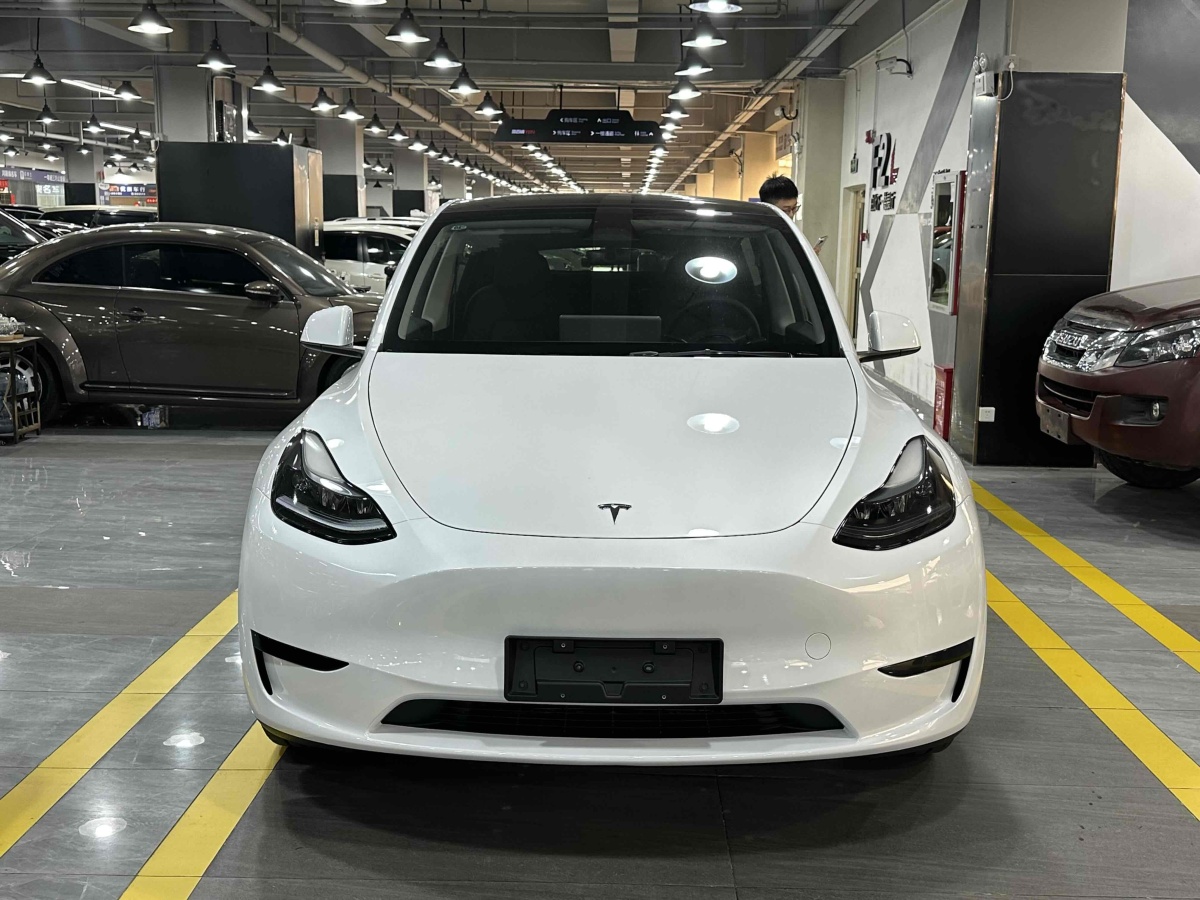 特斯拉 Model Y  2020款 改款 長續(xù)航后輪驅(qū)動版圖片