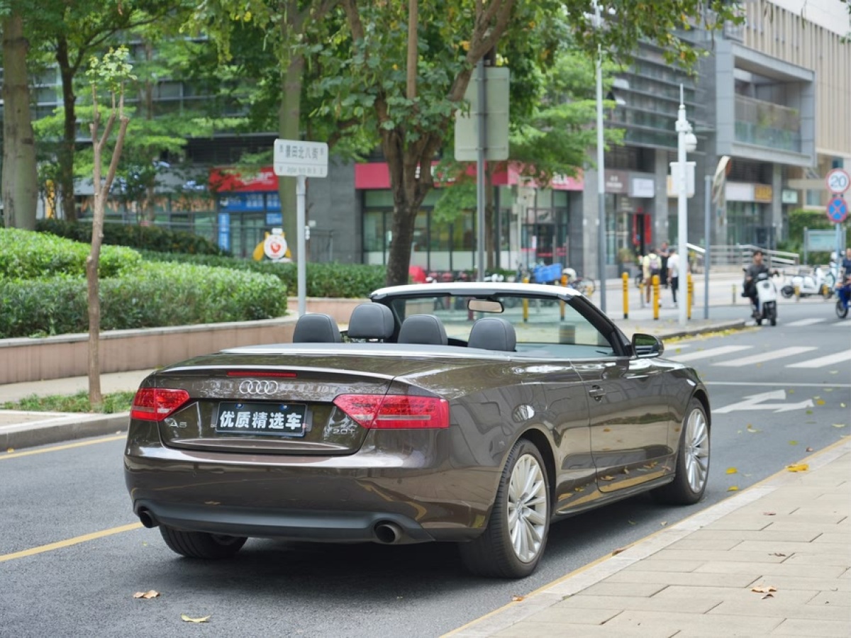 奧迪 奧迪A5  2010款 2.0TFSI Cabriolet圖片
