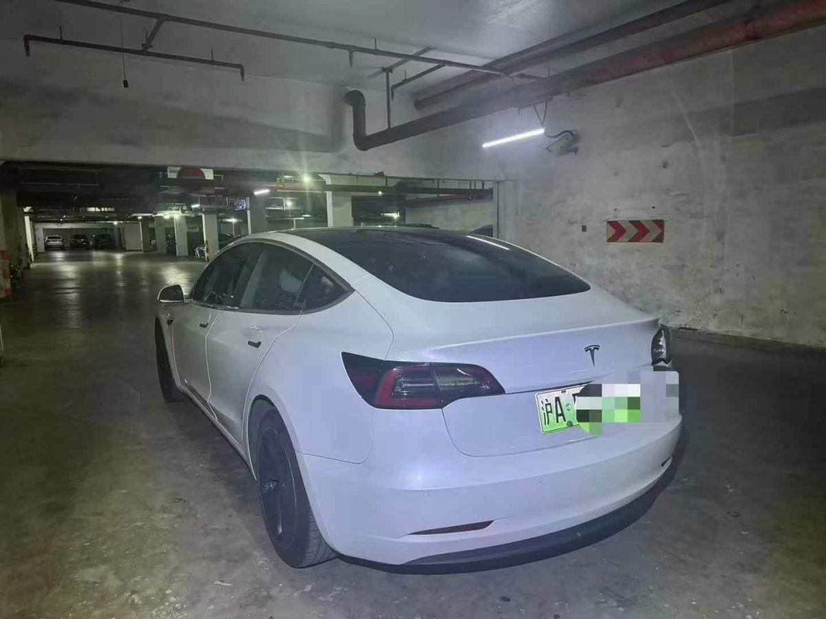 特斯拉 Model 3  2020款 標(biāo)準(zhǔn)續(xù)航后驅(qū)升級(jí)版圖片