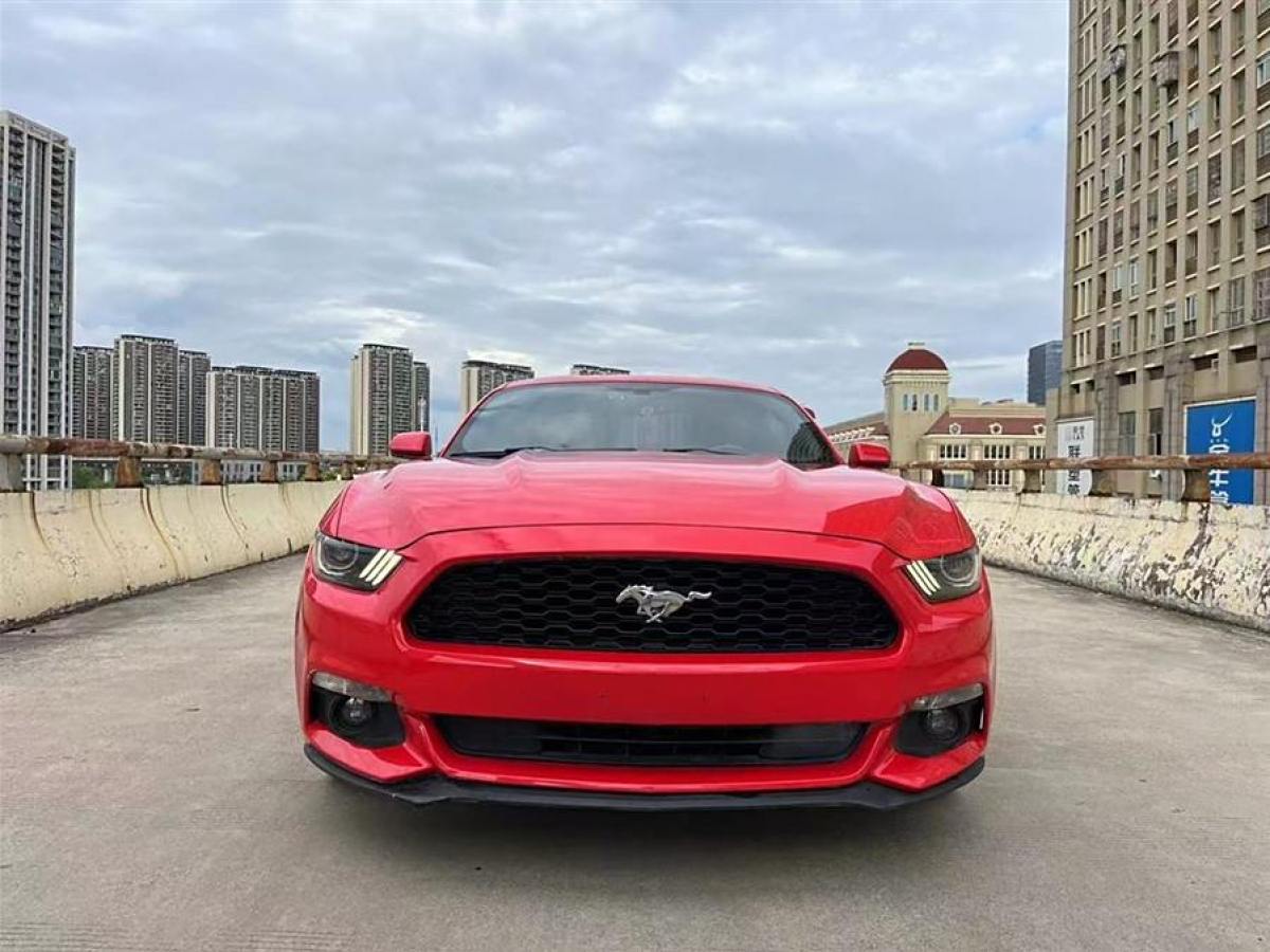 福特 Mustang  2015款 2.3T 性能版圖片