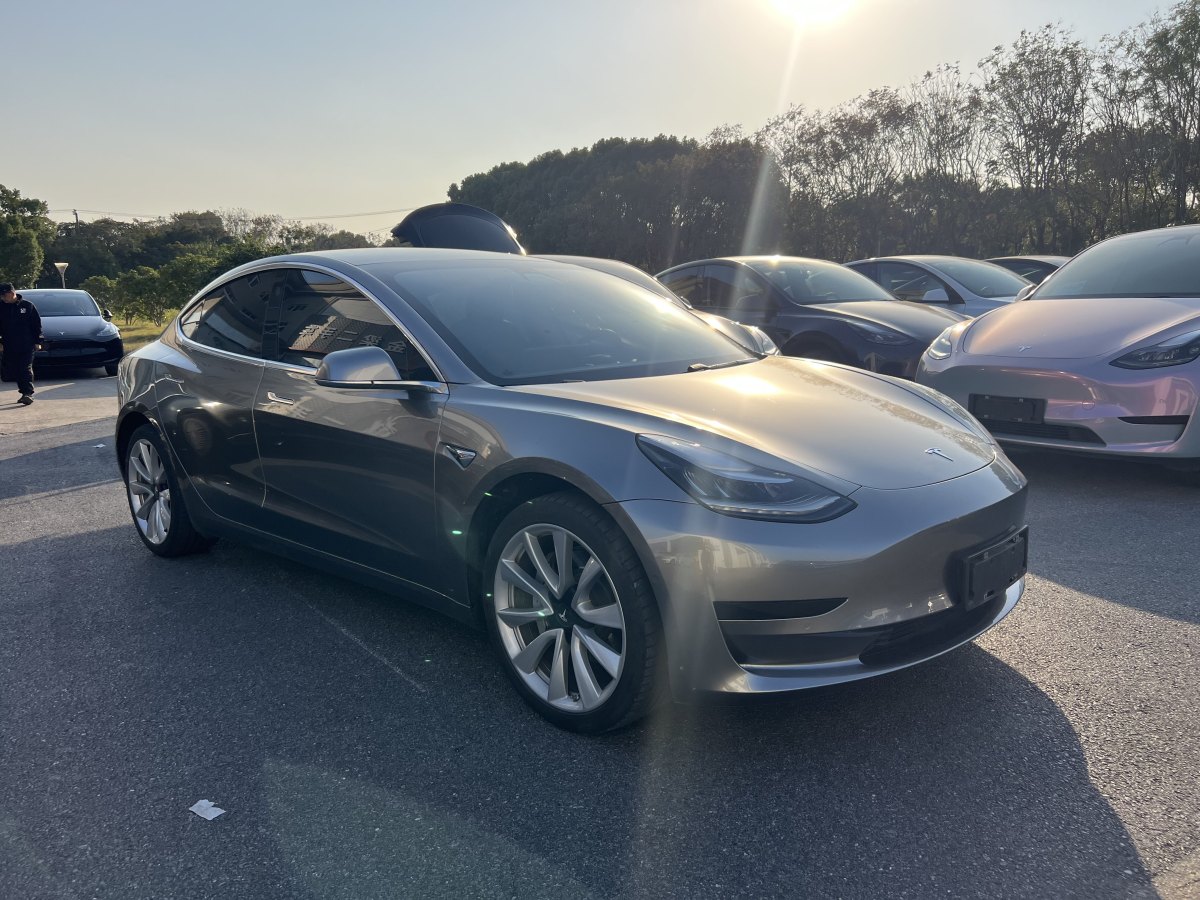 特斯拉 Model 3  2019款 標準續(xù)航后驅(qū)升級版圖片