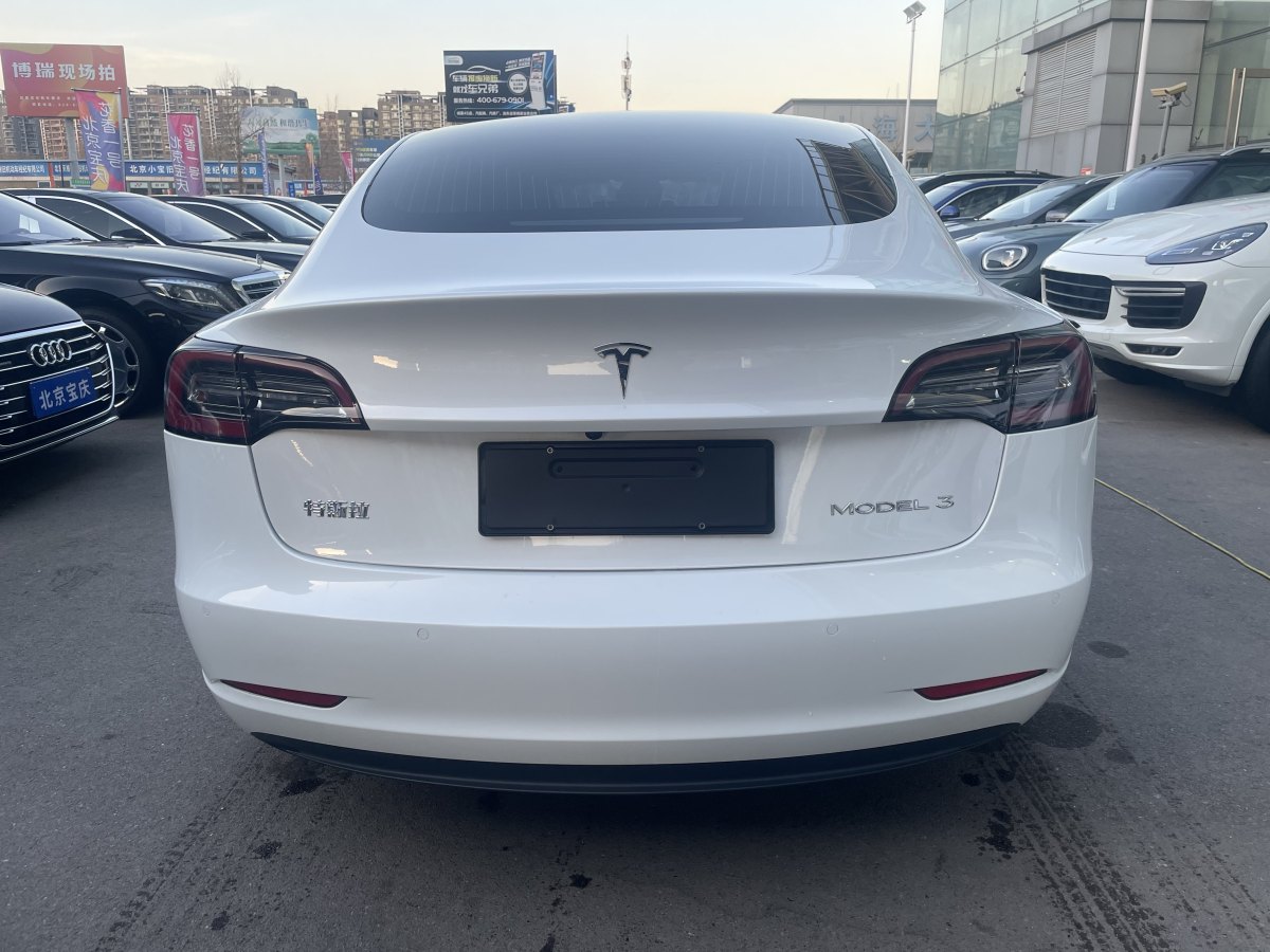 特斯拉 Model 3  2019款 標(biāo)準(zhǔn)續(xù)航后驅(qū)升級版圖片