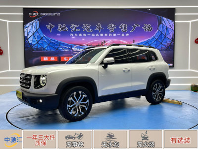 2021年1月 哈弗 哈弗大狗 1.5T DCT邊牧版圖片