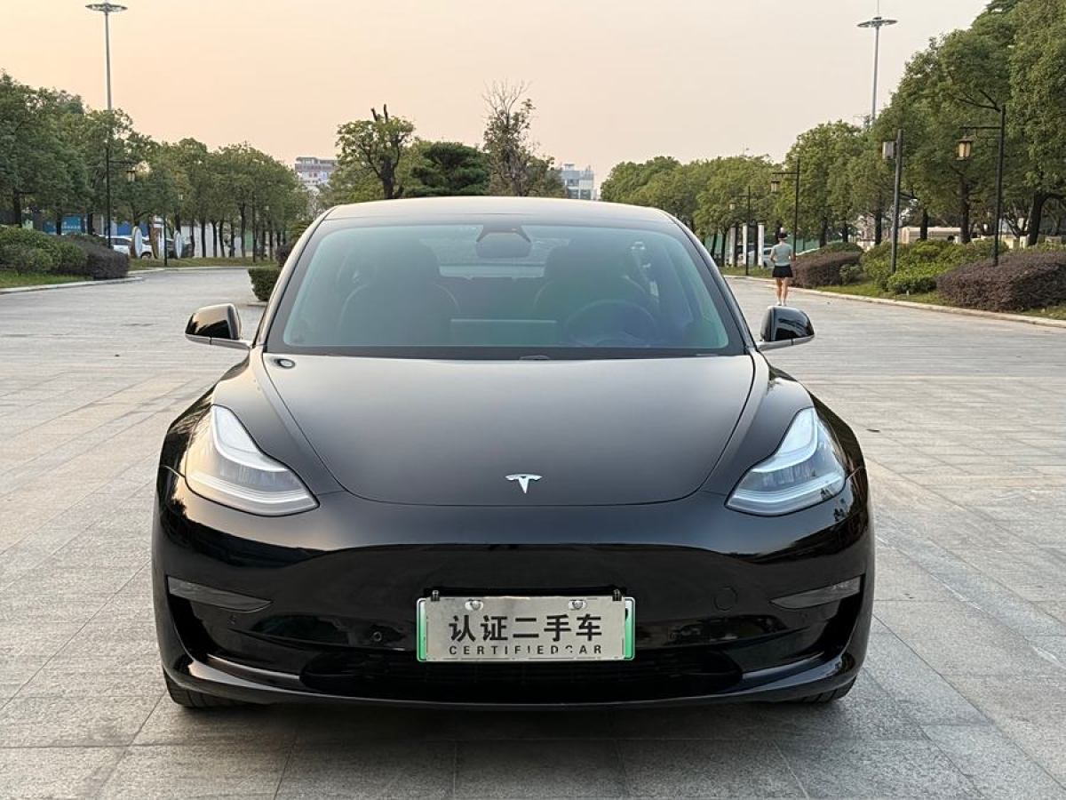 特斯拉 Model 3  2019款 長續(xù)航后驅(qū)版圖片