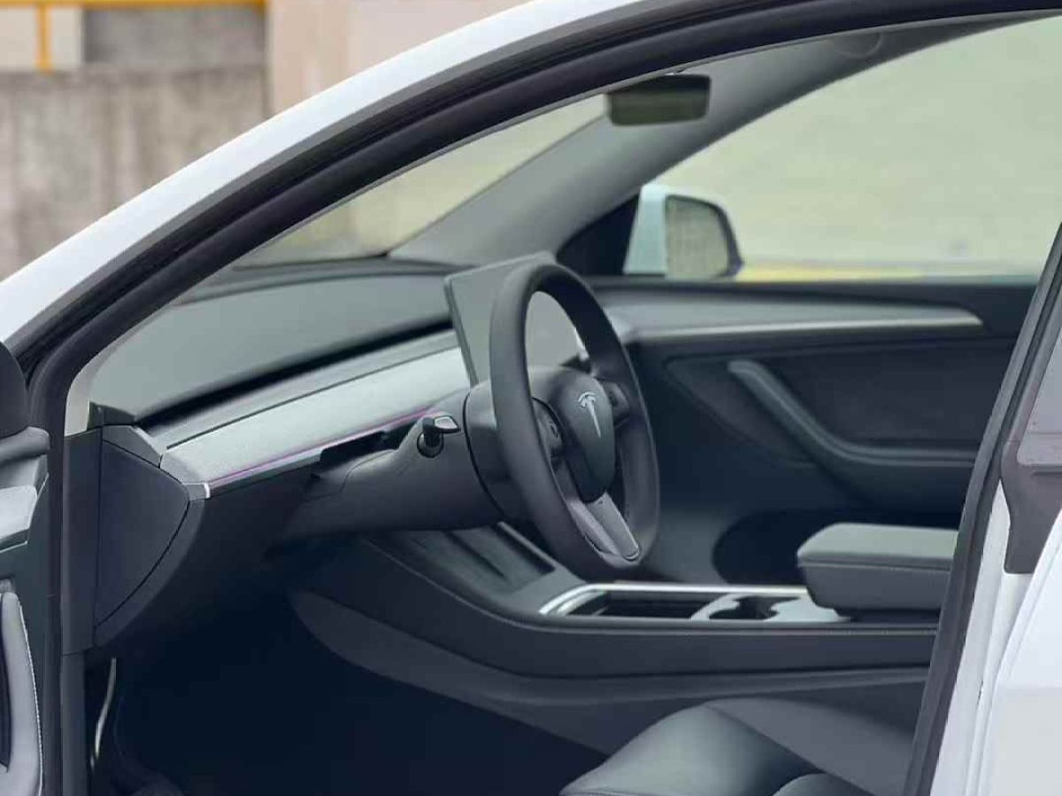 特斯拉 Model Y  2024款 Performance高性能版圖片