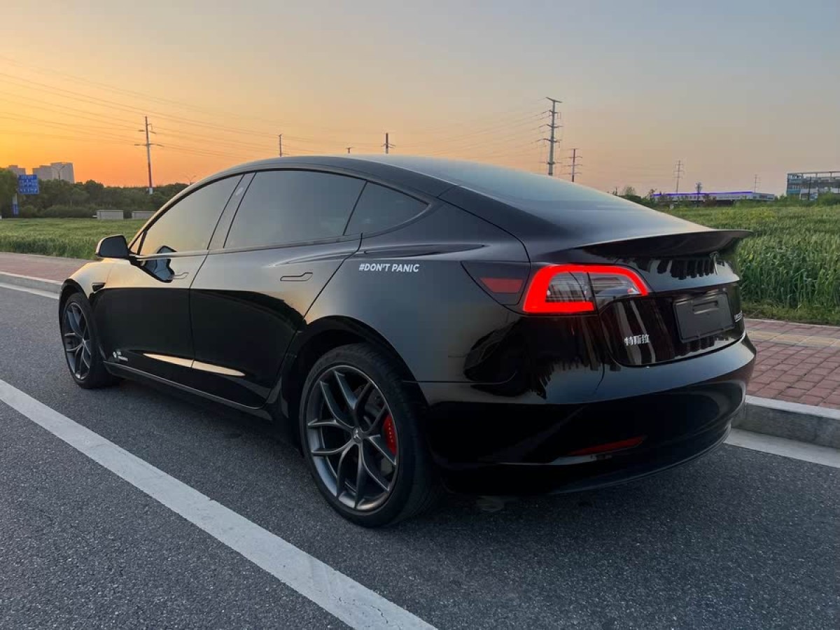特斯拉 Model 3  2021款 改款 Performance高性能全輪驅(qū)動版圖片