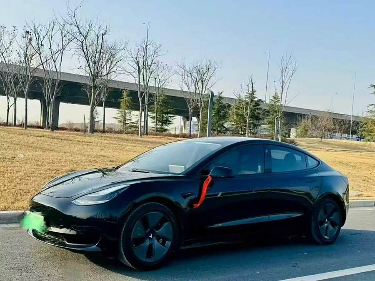 特斯拉 Model 3  2019款 標(biāo)準(zhǔn)續(xù)航后驅(qū)升級(jí)版圖片