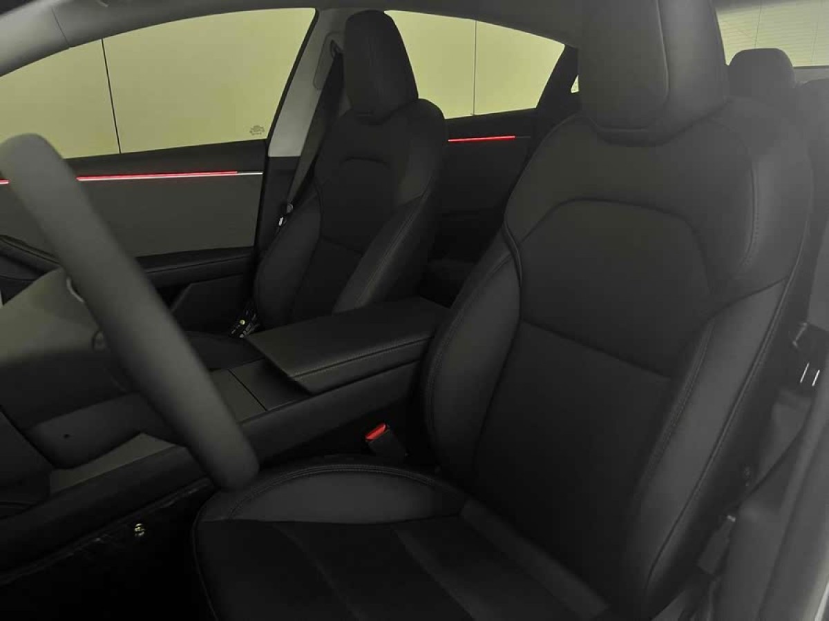 特斯拉 Model 3  2025款 后輪驅(qū)動版圖片