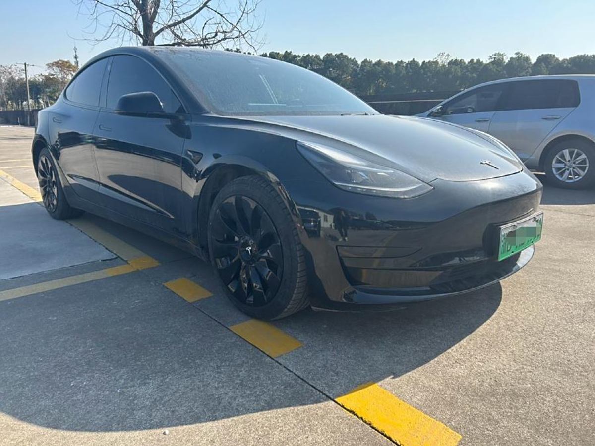 特斯拉 Model 3  2021款 改款 標準續(xù)航后驅升級版圖片