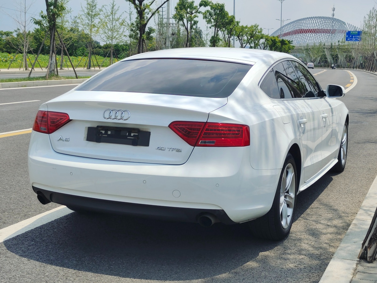 奧迪 奧迪A5  2013款 Sportback 40 TFSI風(fēng)尚版圖片