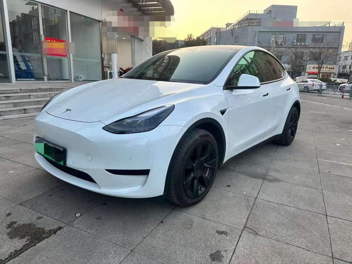 特斯拉 Model Y  2023款 后輪驅(qū)動(dòng)版圖片