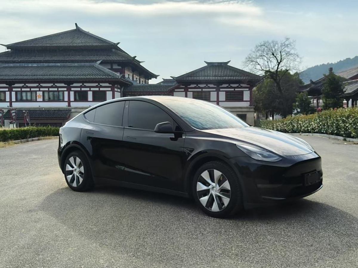 特斯拉 Model Y  2021款 改款 長續(xù)航全輪驅(qū)動版圖片