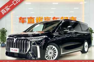 梦想家 岚图 PHEV 超长续航尊贵版