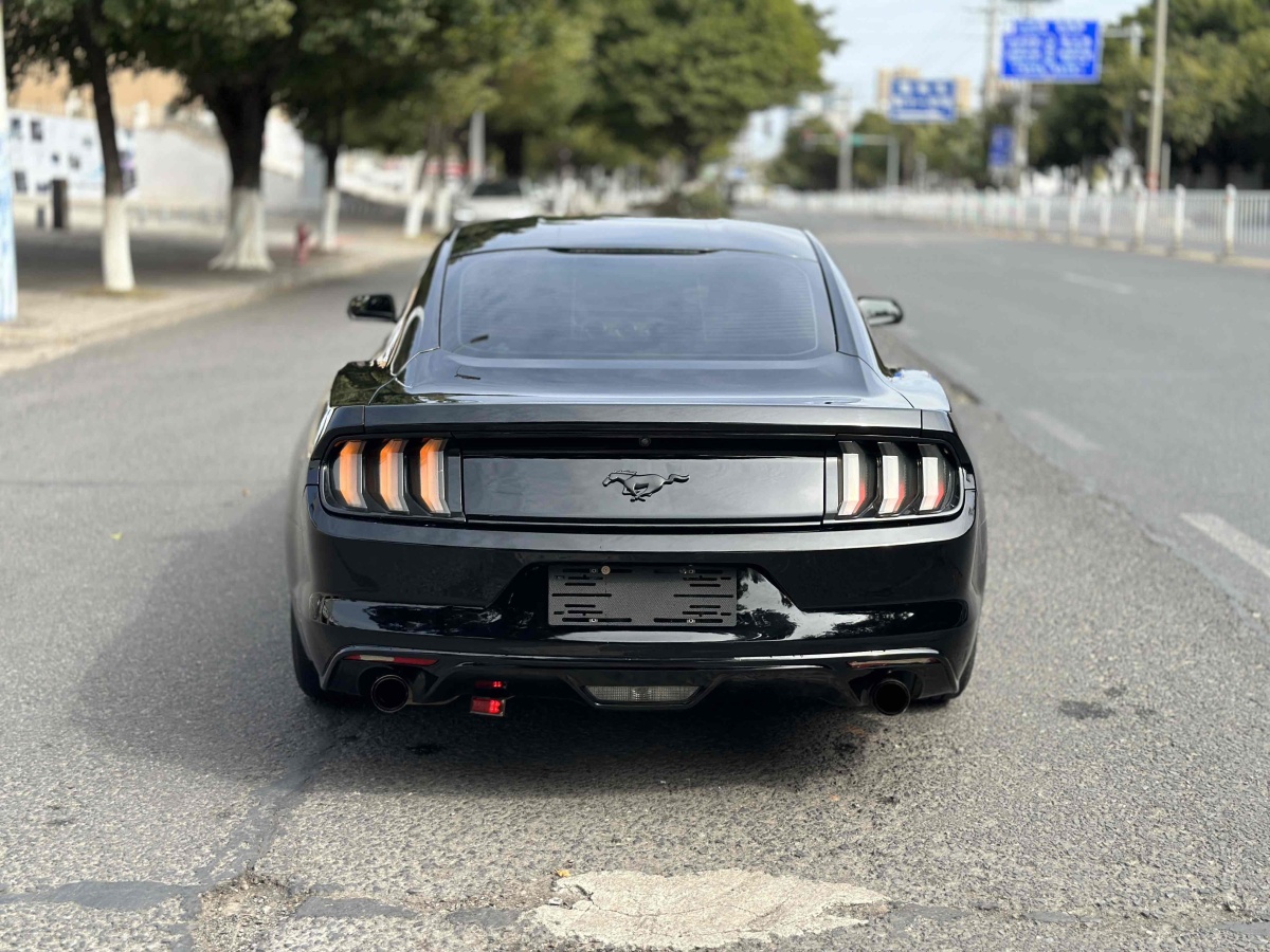 福特 Mustang  2017款 2.3T 性能版圖片