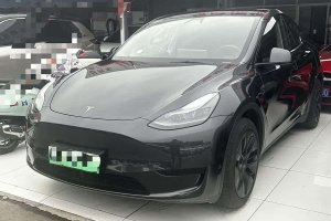 Model Y 特斯拉 后輪驅(qū)動(dòng)版