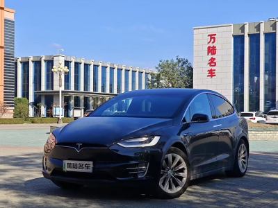 2017年6月 特斯拉 Model X Model X 90D圖片