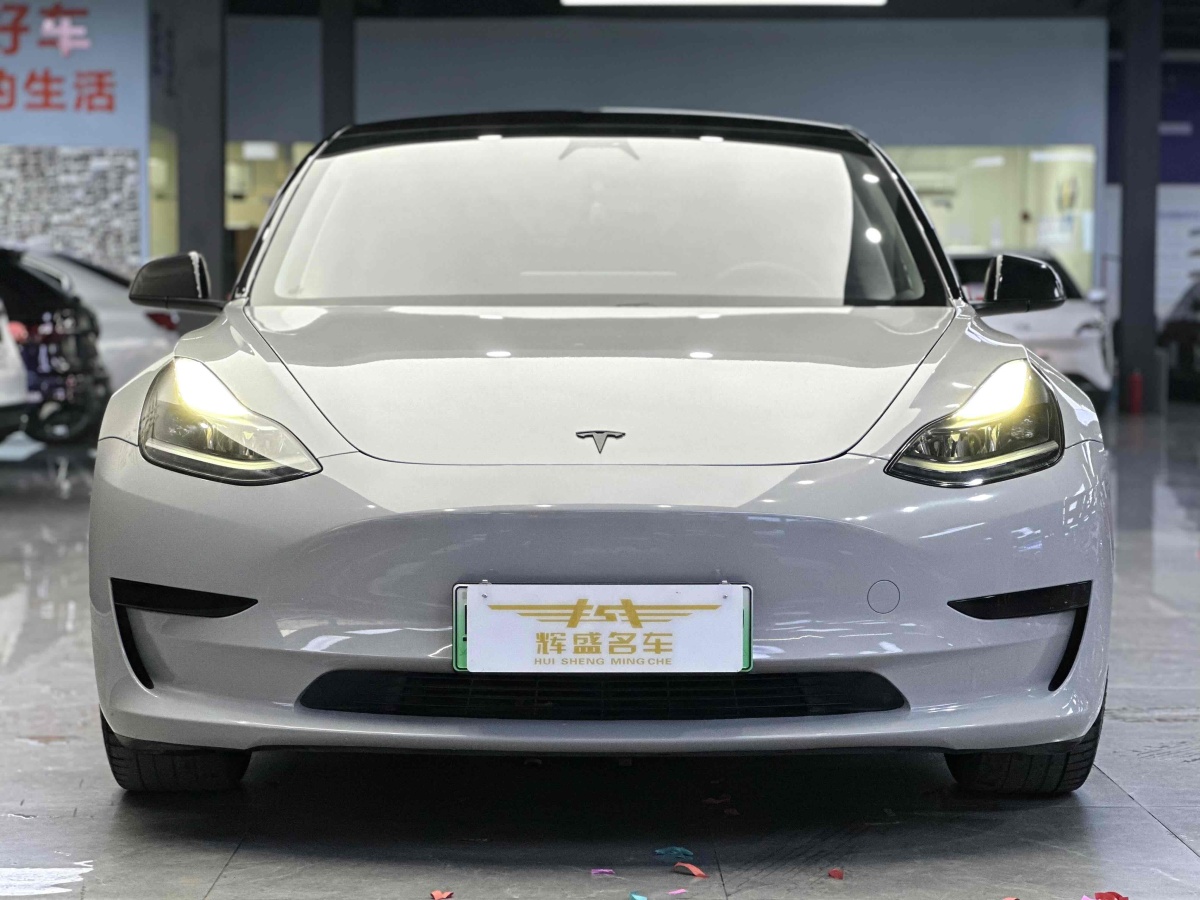 特斯拉 Model 3  2021款 標(biāo)準(zhǔn)續(xù)航后驅(qū)升級版 3D6圖片