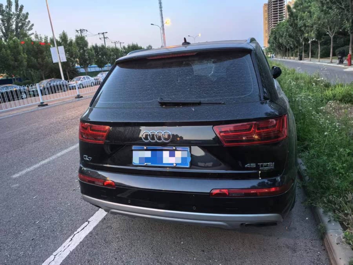 奧迪 奧迪Q7  2016款 45 TFSI 技術(shù)型圖片