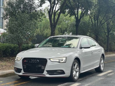 2014年4月 奥迪 奥迪A5(进口) Sportback 45 TFSI图片