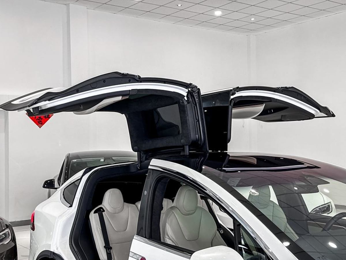 特斯拉 Model X  2020款 長(zhǎng)續(xù)航升級(jí)版圖片