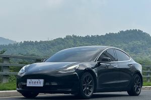 Model 3 特斯拉 标准续航后驱升级版