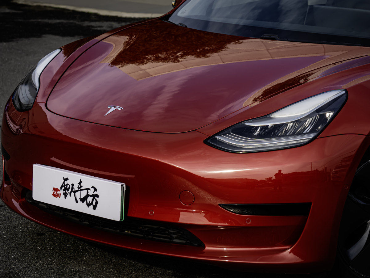 特斯拉 Model 3  2020款 改款 標(biāo)準(zhǔn)續(xù)航后驅(qū)升級(jí)版圖片
