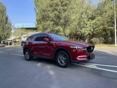 2018年3月 馬自達(dá) CX-5 2.0L 自動(dòng)兩驅(qū)智享型 國(guó)VI圖片